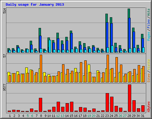 Daily usage for January 2013