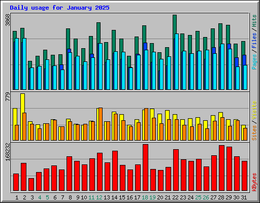 Daily usage for January 2025