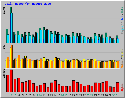 Daily usage for August 2025