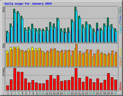 Daily usage for January 2026