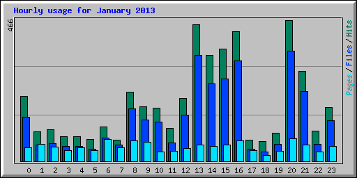 Hourly usage for January 2013