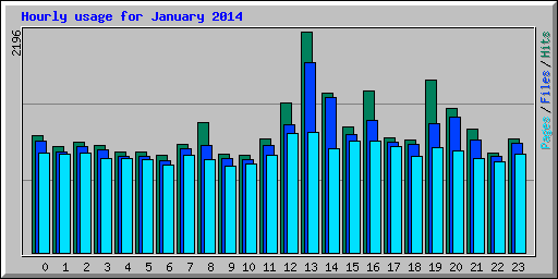 Hourly usage for January 2014