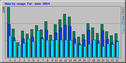 Hourly usage for June 2024
