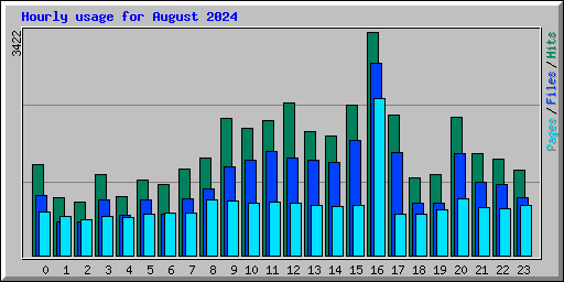 Hourly usage for August 2024
