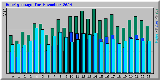 Hourly usage for November 2024
