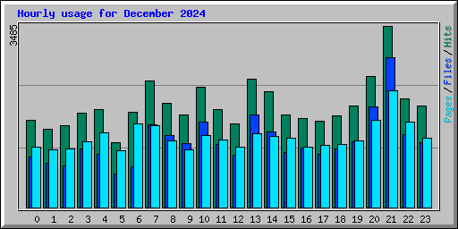 Hourly usage for December 2024