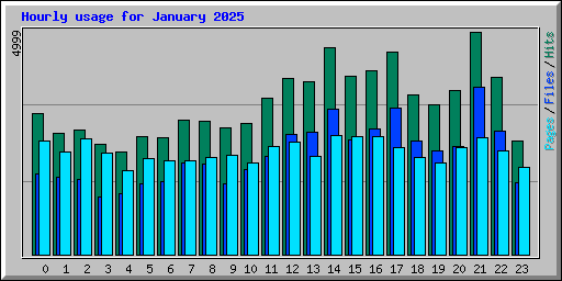 Hourly usage for January 2025