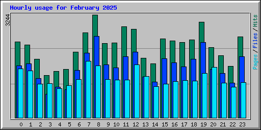 Hourly usage for February 2025