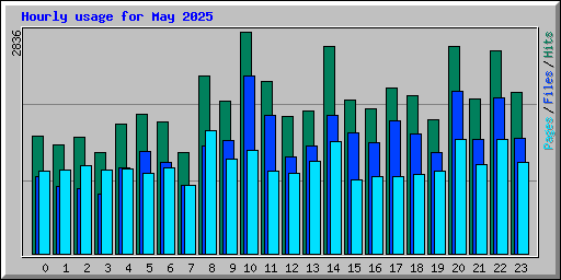 Hourly usage for May 2025