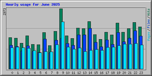 Hourly usage for June 2025