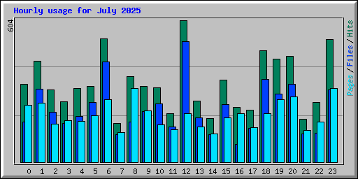Hourly usage for July 2025