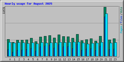 Hourly usage for August 2025