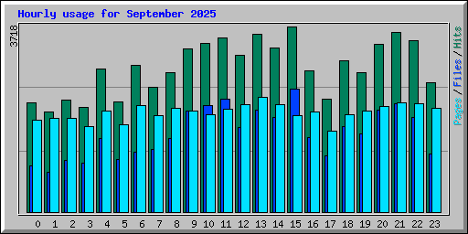 Hourly usage for September 2025