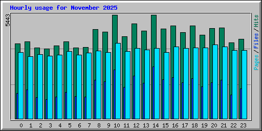 Hourly usage for November 2025