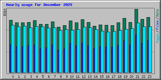 Hourly usage for December 2025