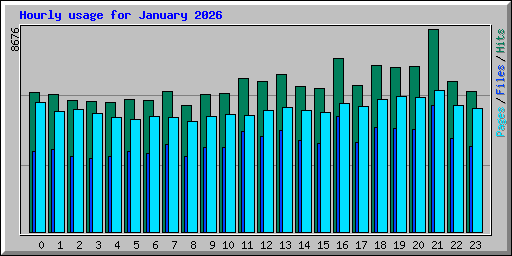 Hourly usage for January 2026
