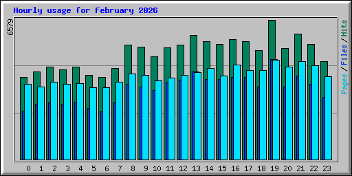 Hourly usage for February 2026