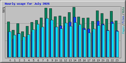 Hourly usage for July 2026