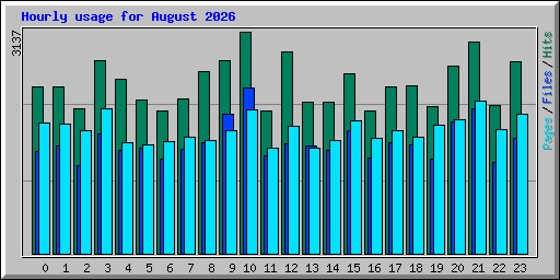 Hourly usage for August 2026